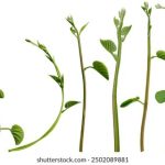 畅享无限乐趣:探索免费漫画的世界 l59w8