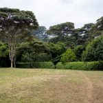 畅享杂货铺漫画,免费观看精彩故事 lfiga7